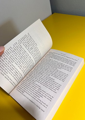 Nick Cave and the Ass Saw the Angel Ingilizce Mizahi Roman - Görsel 4