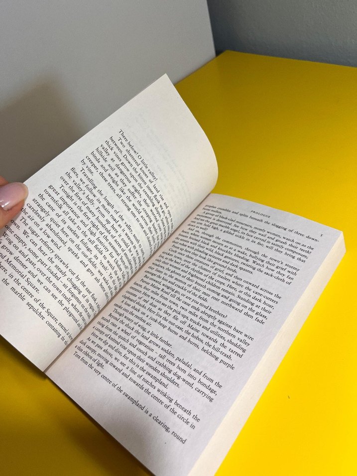 Nick Cave and the Ass Saw the Angel Ingilizce Mizahi Roman - Görsel 4