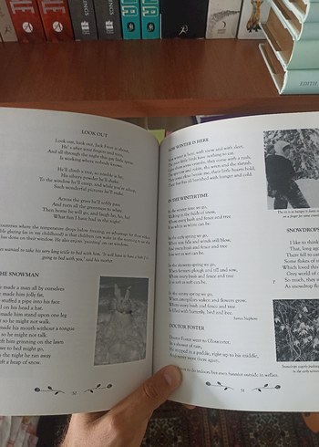 Kış Şarkı Kitabı - Mevsimlik Şiirler ve Şarkılar Ingilizce Sanat - Görsel 2