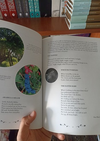 Spring Songbook - Mevsimsel Şiirler ve Şarkılar Ingilizce Muzik - Görsel 3