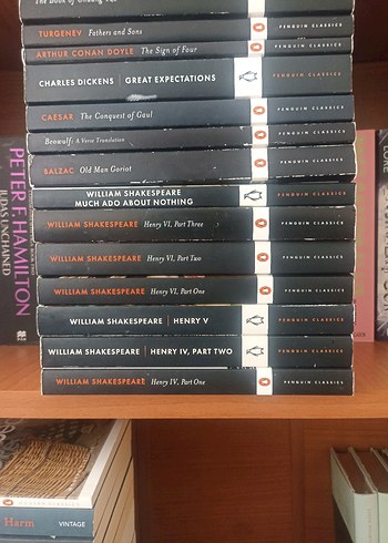 Penguin Classics Kitap Seti - Klasik Edebiyat Ingilizce Set - Görsel 3
