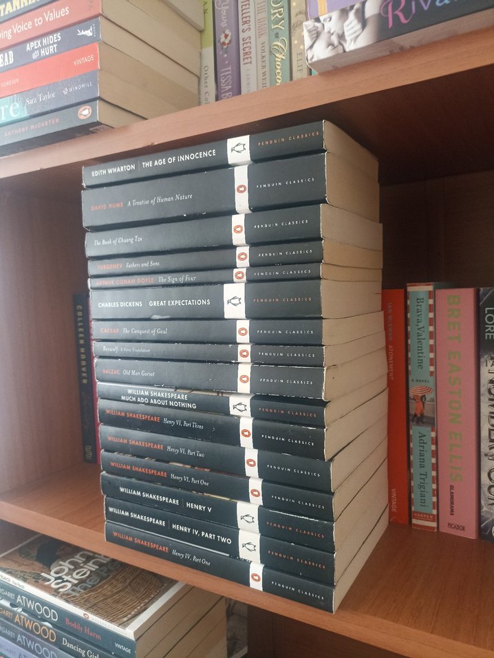 Penguin Classics Kitap Seti - Klasik Edebiyat Ingilizce Set - Görsel 2