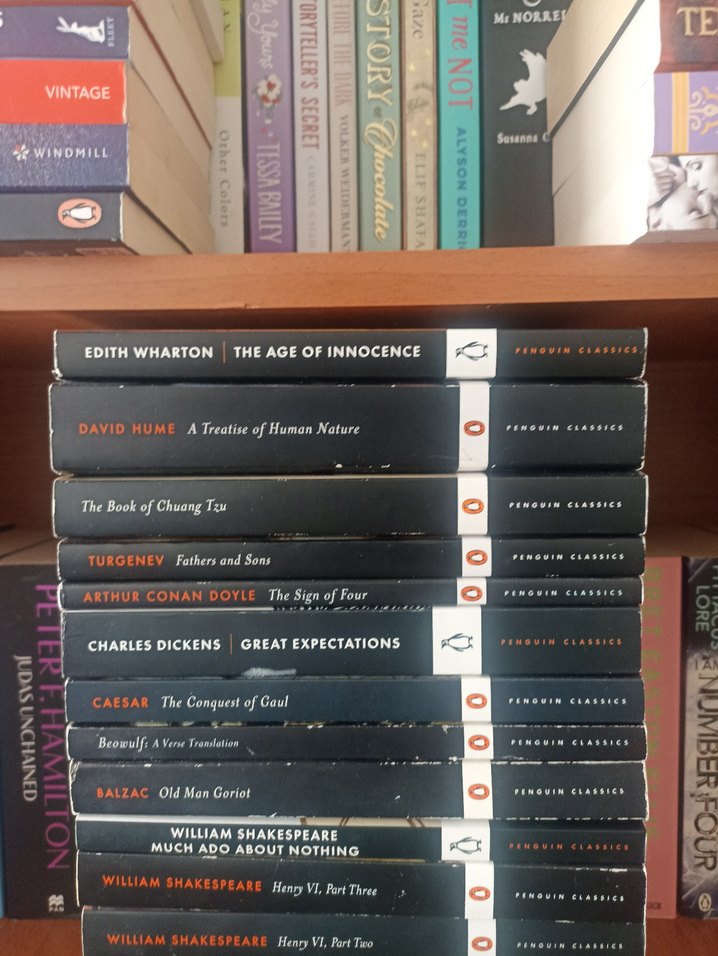 Penguin Classics Kitap Seti - Klasik Edebiyat Ingilizce Set - Görsel 4