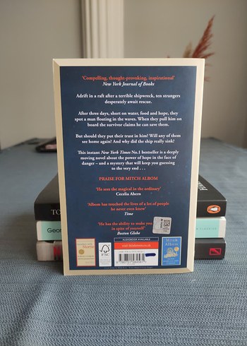 Beden Renk The Stranger in the Lifeboat - Mitch Albom Ingilizce Roman