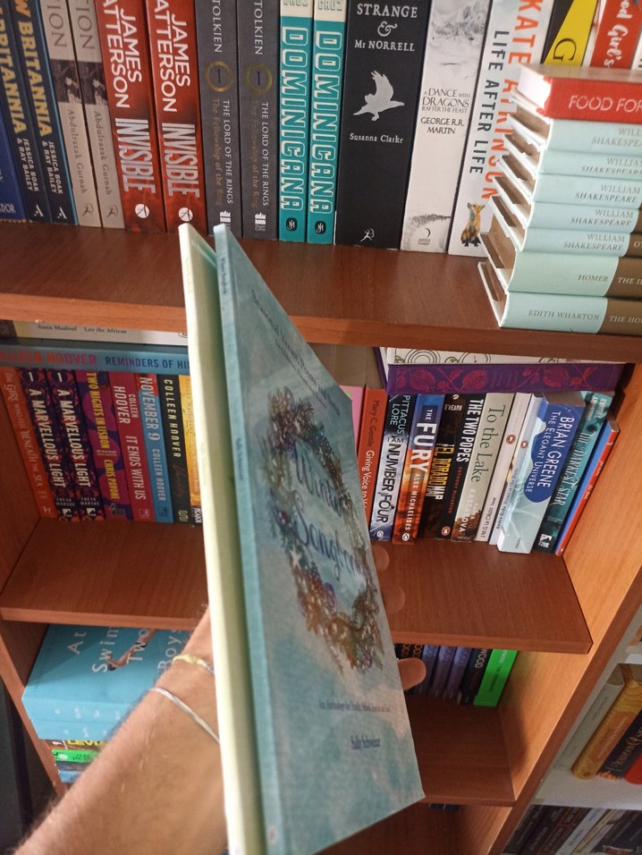 Mevsimlere Özel Şiir ve Şarkı Kitapları Ingilizce Muzik Siir - Görsel 4