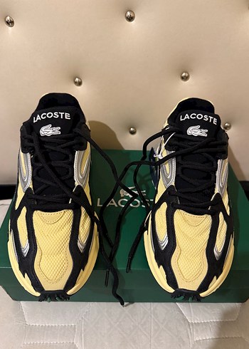 Lacoste 43