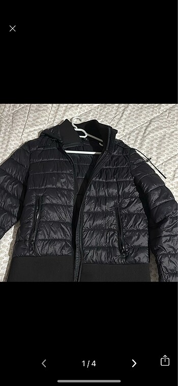 zara mont