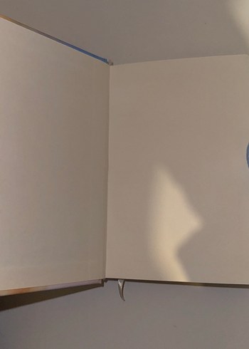 Pastel Renkli Kedi Temalı Kapaklı Defter - Görsel 4