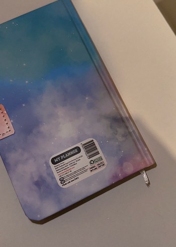 Pastel Renkli Kedi Temalı Kapaklı Defter - Görsel 3