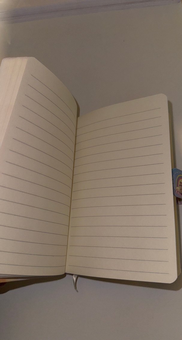 Pastel Renkli Kedi Temalı Kapaklı Defter - Görsel 5