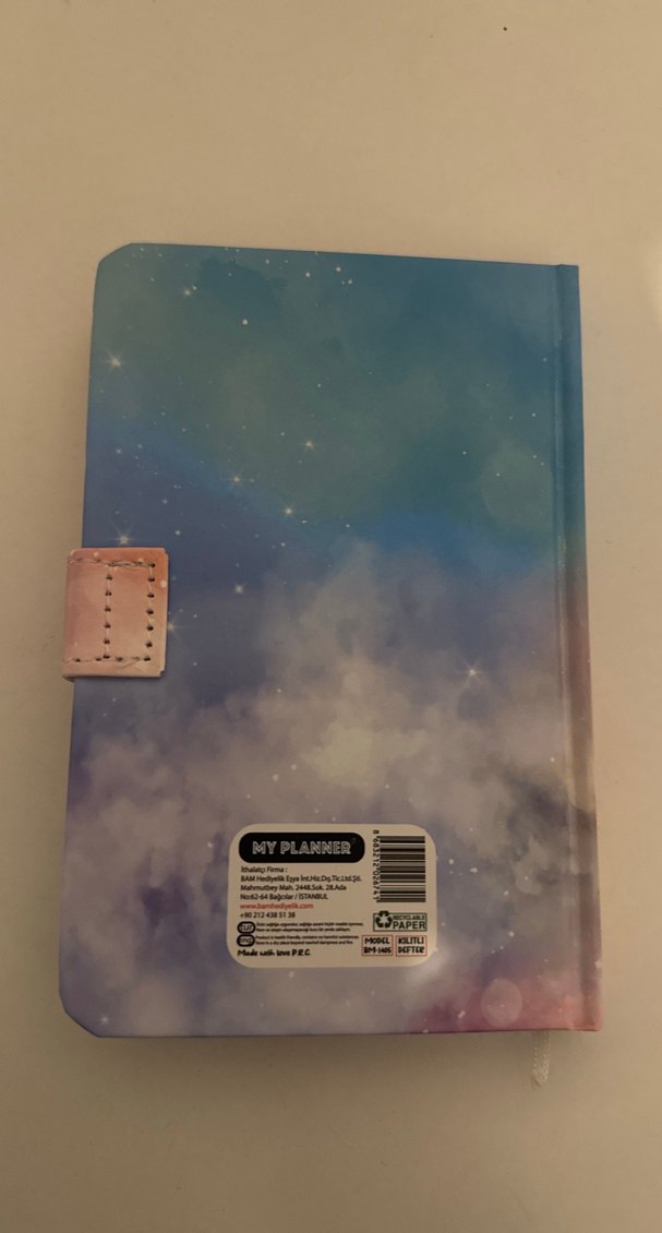 Pastel Renkli Kedi Temalı Kapaklı Defter - Görsel 2