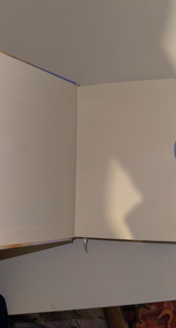 Pastel Renkli Kedi Temalı Kapaklı Defter - Görsel 4