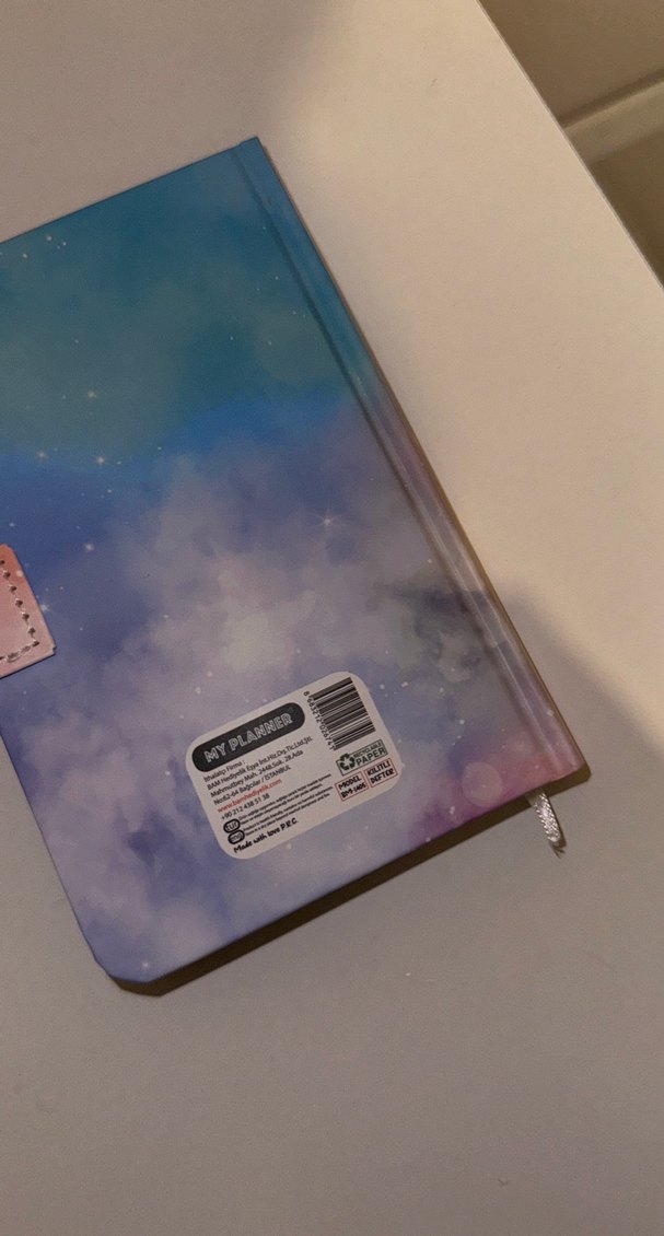 Pastel Renkli Kedi Temalı Kapaklı Defter - Görsel 3