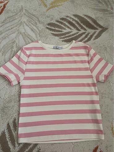 Stradivarius body