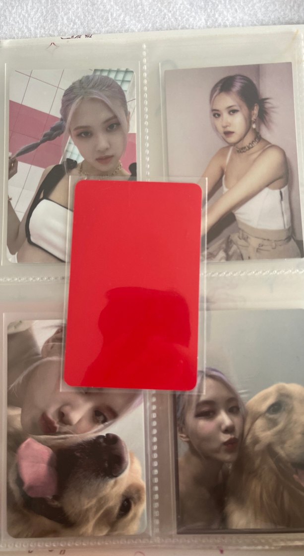 Rose fotokart-pc - Görsel 2