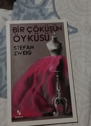 Bir Çöküşün Öyküsü