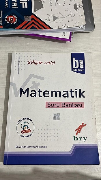 Birey B Matematik