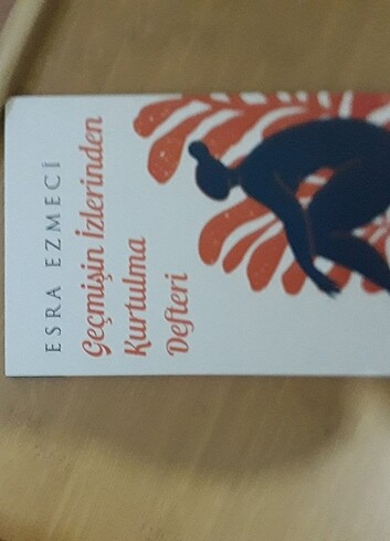 Esra ezmeci 1 kitap 1 defter
