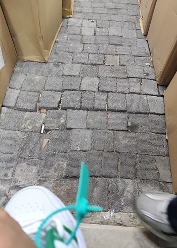 Lacoste Beyaz Bağcıklı Erkek Spor Ayakkabı her no mevcut - Görsel 3