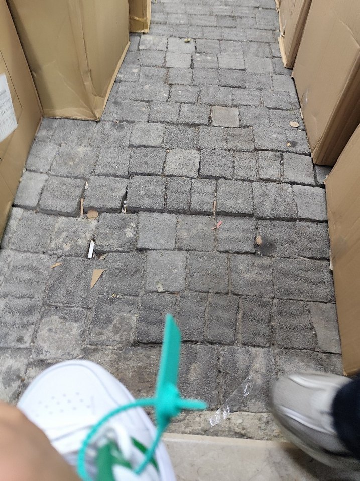 Lacoste Beyaz Bağcıklı Erkek Spor Ayakkabı her no mevcut - Görsel 3