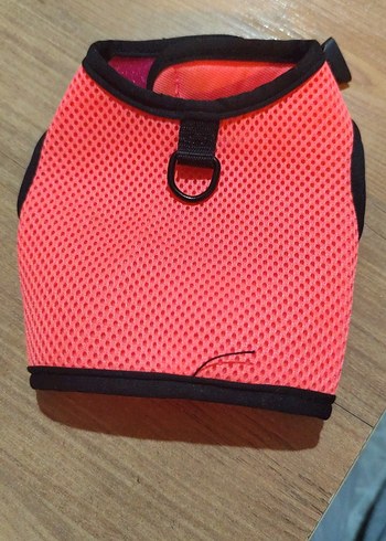 Pembe Renkli kedi Göğüs Tasması