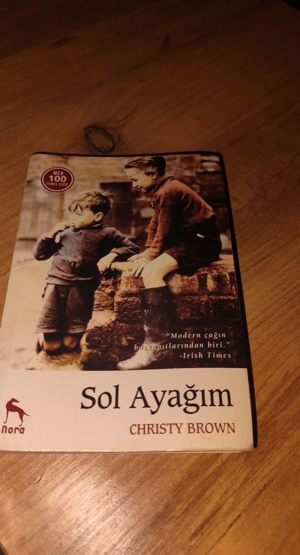 Sol Ayağım - Christy Brown - Görsel 2