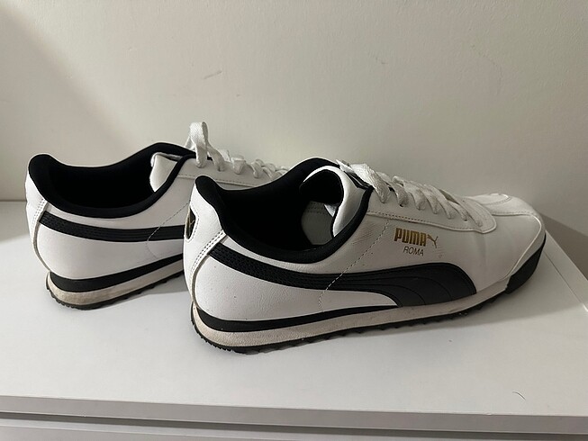 Puma roma
