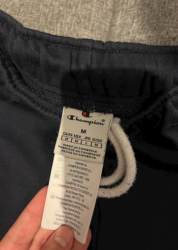 Champion Erkek Gri Şeritli Eşofman Altı - Görsel 3