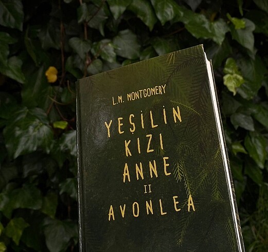 YEŞİLİN KIZI ANNE 2 ciltli
