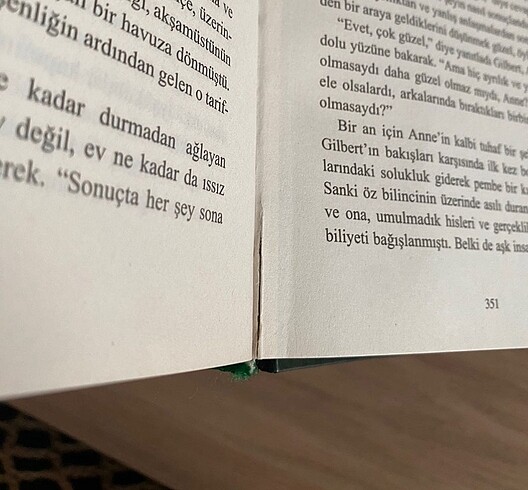 Beden Renk YEŞİLİN KIZI ANNE 2 ciltli