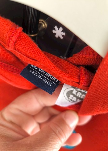 LCWAİKİKİ Erkek Çocuk Kapüşonlu Renkli Baskılı Sweatshirt - Görsel 2