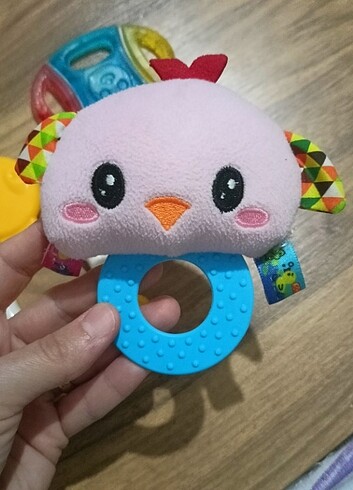 Diğer Diş kaşıyıcı
