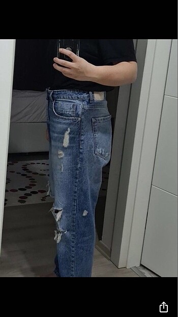 Zara Zara kot