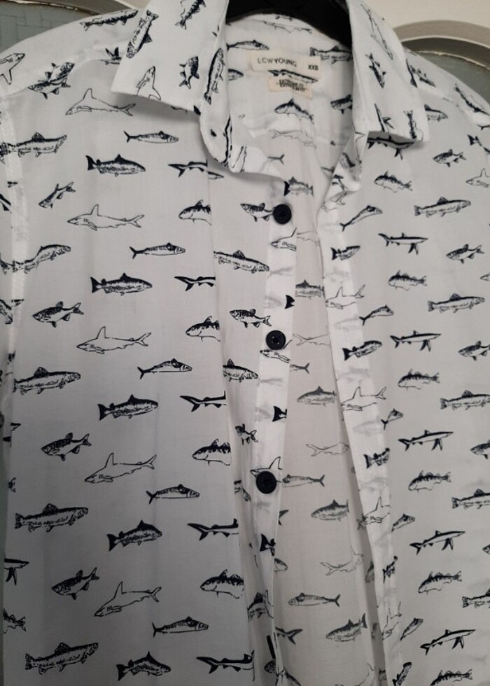 LCW Gömlek - Görsel 4