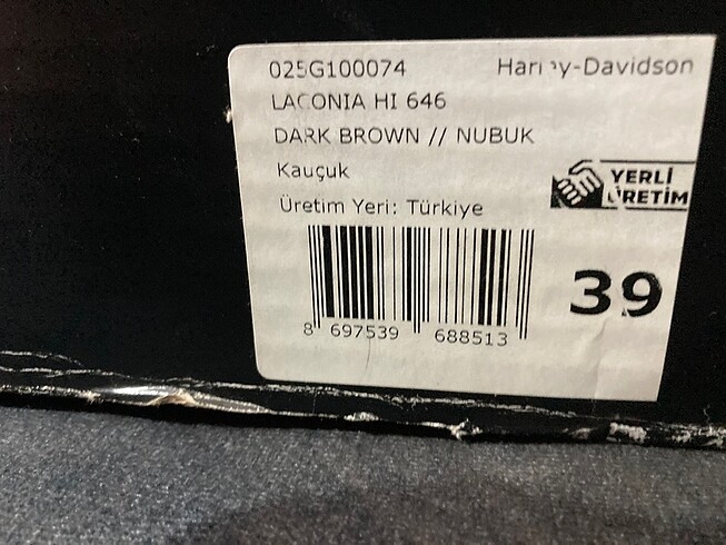 Harley Davidson Harley çizme