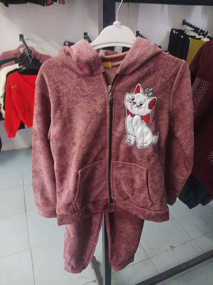 Kız Çocuk Gri Nakışlı Kapüşonlu Eşofman Takımı - Görsel 2