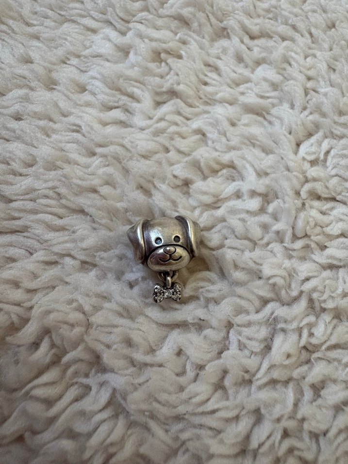 925 Ayar Gümüş Köpek ve Kemik Charm - Görsel 2