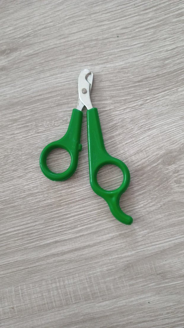 Yeşil Kedi Tırnak Makası - Görsel 3