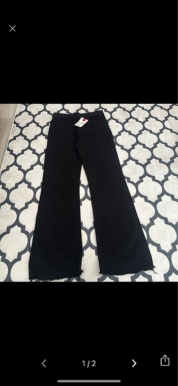 Kot jean
