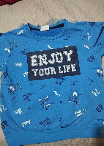 Gri Baskılı Fermuarlı Erkek Sweatshirt - Görsel 3