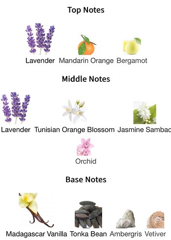 YSL Libre Intense Dekant - Görsel 3