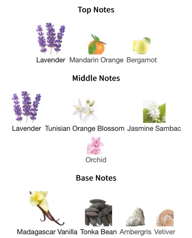 YSL Libre Intense Dekant - Görsel 3