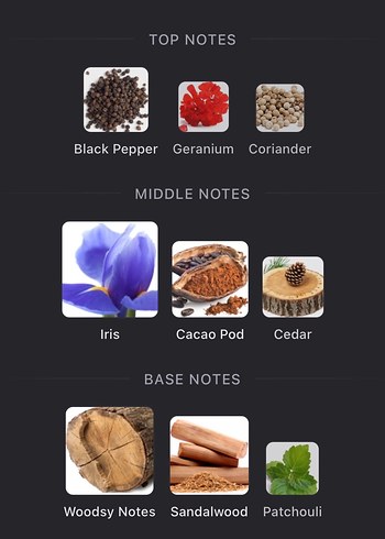 Givenchy Gentleman Boisee - Görsel 6