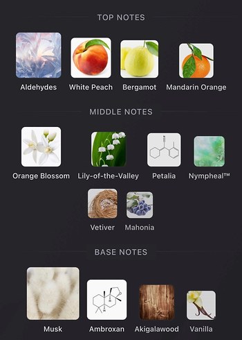 PDM Valaya Dekant - Görsel 3