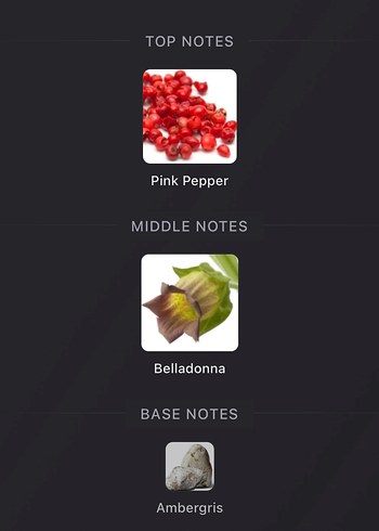 Hugo Boss The Scent Elixir Dekant - Görsel 3