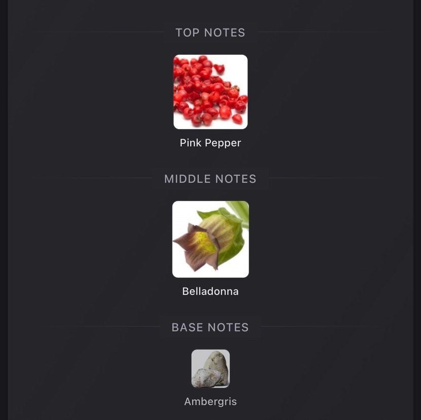 Hugo Boss The Scent Elixir Dekant - Görsel 3