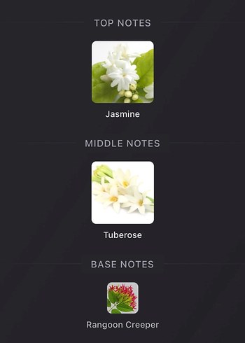 Gucci Bloom Dekant - Görsel 3