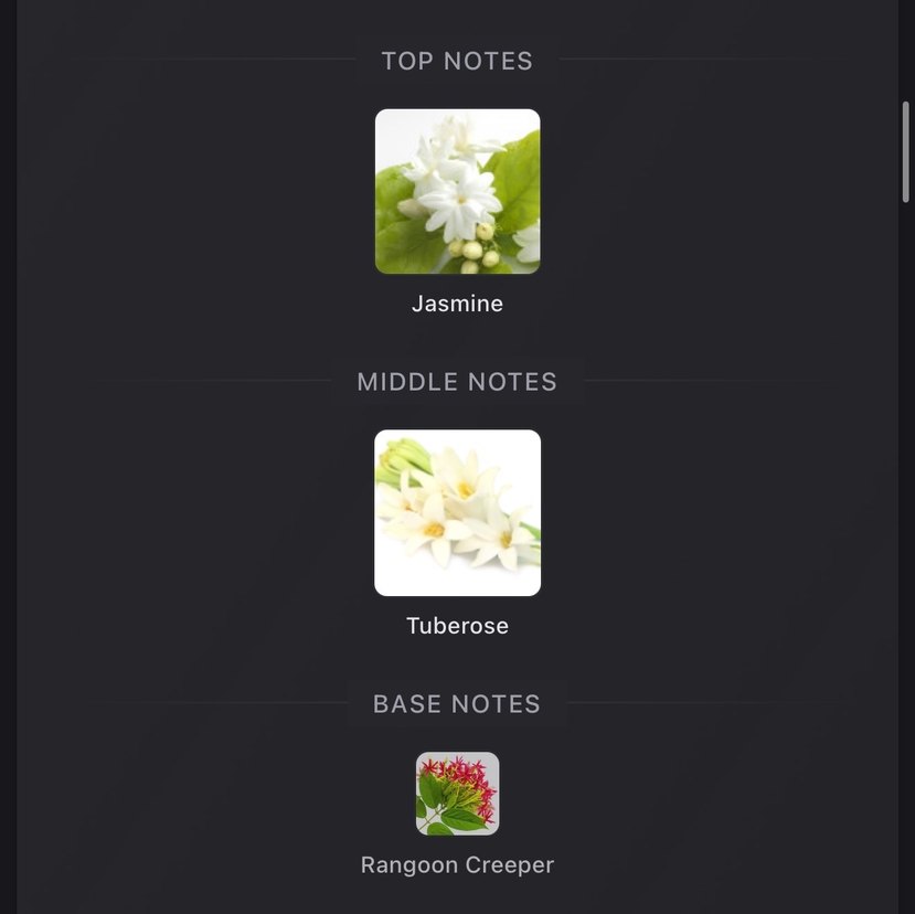 Gucci Bloom Dekant - Görsel 3