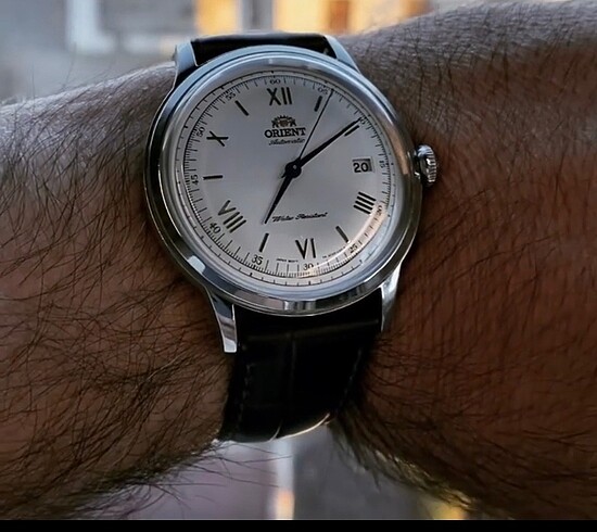 Orient Orient Bambino