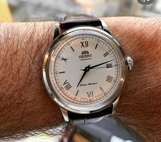  Beden Orient Bambino